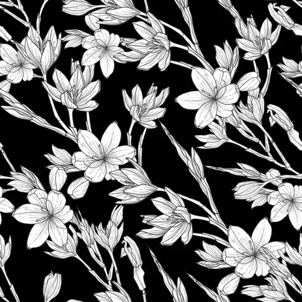 Nahtloses Muster Mit Handgezeichneten Illustrationen Von Schizostylis Botanische Graphische Zeichnung — Stockfoto