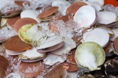 Balık ve deniz ürünleri bir pazarda Tayland