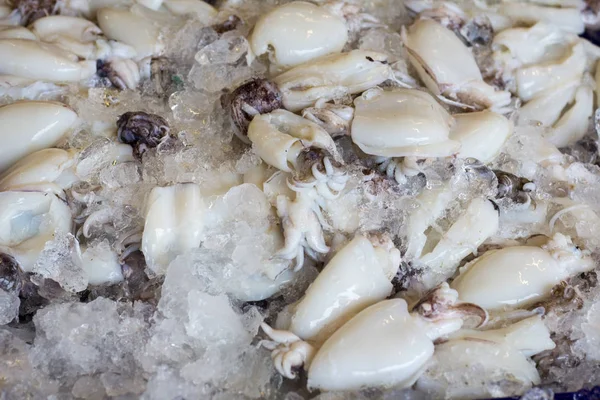 Peixe Frutos Mar Mercado Tailândia — Fotografia de Stock