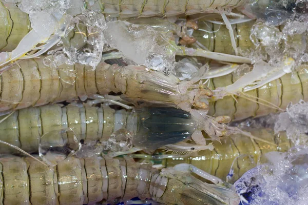Ryby Owoce Targu Tajlandii — Zdjęcie stockowe