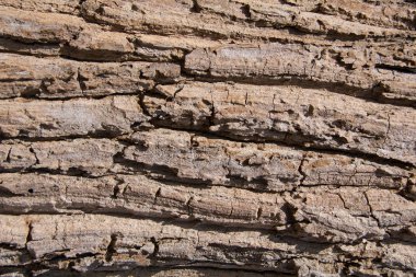 Ahşap tahta kahverengi doku arka plan. . Eski ahşap doku. Ahşap desen arka plan