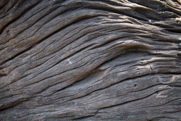 Brown Wooden Texture Wood Texture Background — Stock Photo, Image