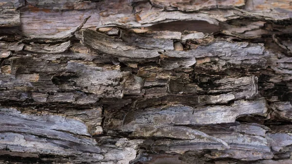 Абстрактні Розмиті Дерев Яні Дошки Коричневої Текстури Фону Стара Дерев — стокове фото