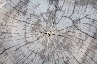 Eski ahşap arka plan doku. Ahşap tahta kahverengi doku arka plan. arka plan olarak kullanılan eski, grunge ahşap paneller