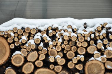 Köy yaşamı, bahçedeki karla kaplı bir woodpile. Woodpile kışın karda yatıyor.