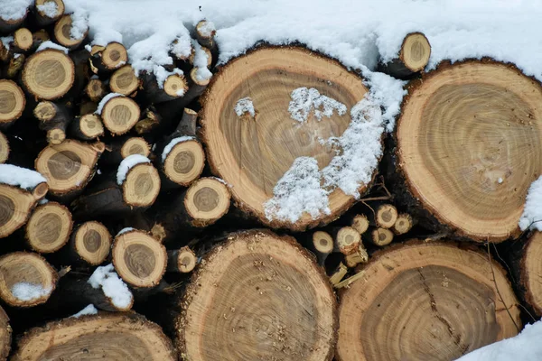 乡村生活 一个堆在后院的雪覆盖 冬天的木桩躺在雪地里 — 图库照片