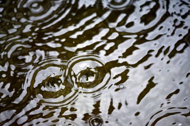 Su üzerinde yağmur damlaları ve daireler, birikintisi yüzeyinde damlama.