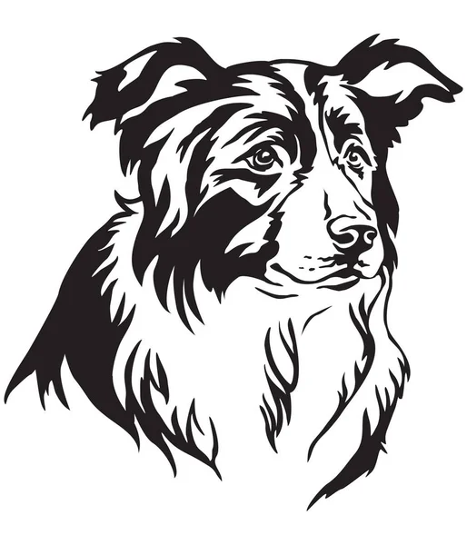 Декоративный Портрет Собаки Border Collie Векторная Изолированная Иллюстрация Черного Цвета — стоковый вектор