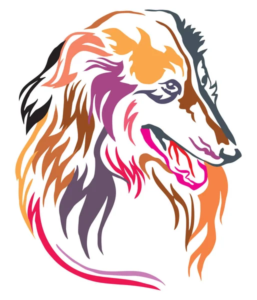 Красочный Декоративный Портрет Собаки Колли Векторная Иллюстрация Разных Цветах Изолированы — стоковый вектор