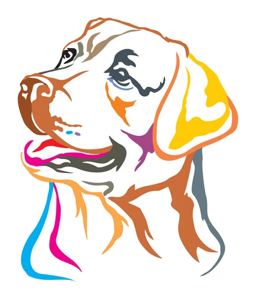犬ラブラドル レトリーバー犬 白い背景で隔離の異なる色のベクトル イラストのカラフルな装飾的な肖像 — ストックベクタ