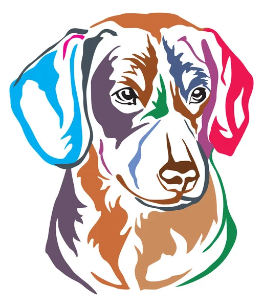 Kleurrijke Decoratieve Portret Profiel Van Hond Entlebucher Sennenhond Vectorillustratie Verschillende — Stockvector