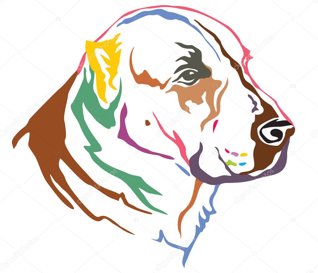 Colorful decorative portrait in profile of dog Central Asian Shepherd Dog (Alabai), vector illustration in different colors isolated on white background