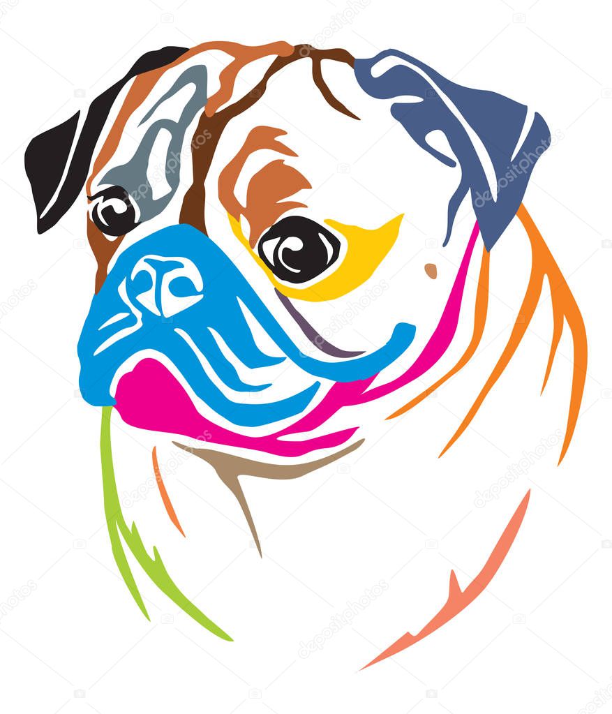 Colorful decorative portrait in profile of dog Pug, vector illustration in different colors isolated on white background