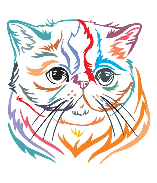 Colorful Decorative Portrait Profile Exotic Shorthair Cat Contour Vector Isolated — Stock Vector