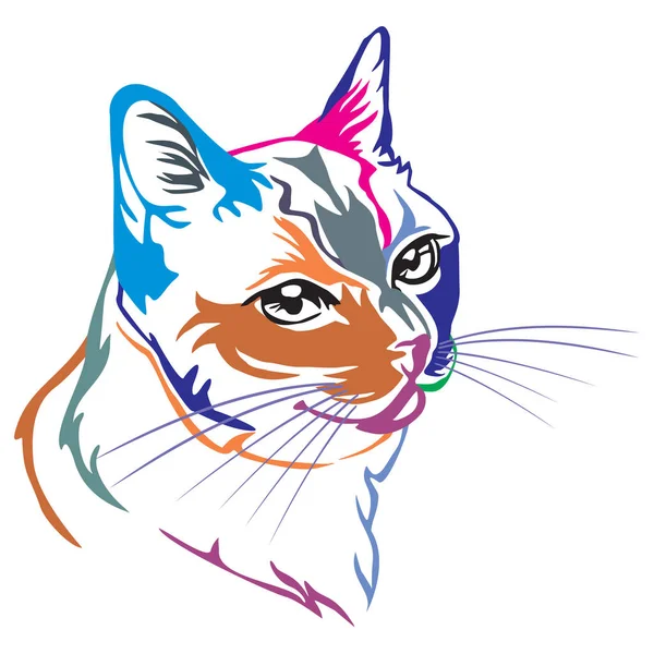 Colorful Decorative Portrait Profile Thai Cat Contour Vector Isolated Illustration — Stock Vector