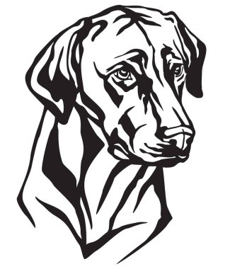 Decorative portrait of Dog Rhodesian Ridgeback, vector isolated illustration in black color on white background. Image for design and tattoo.  clipart