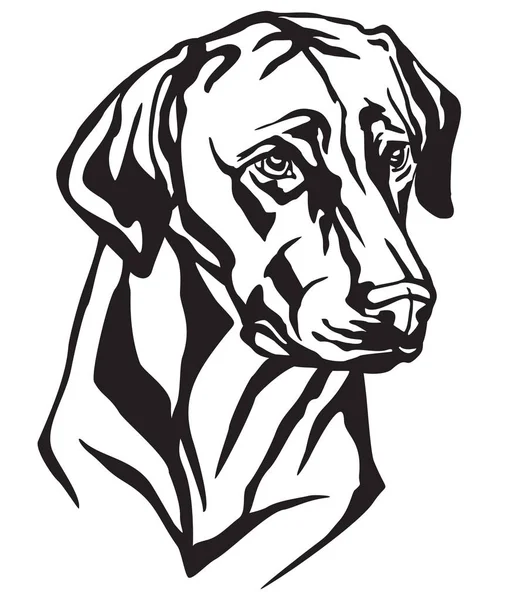 Portrait Décoratif Chien Rhodésien Ridgeback Illustration Vectorielle Isolée Couleur Noire — Image vectorielle