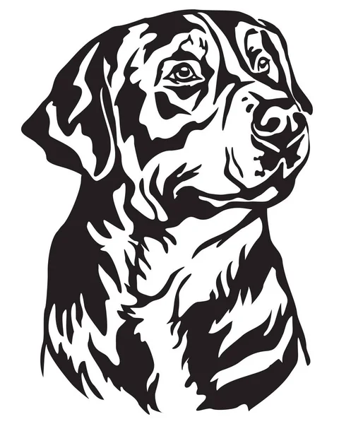 Decoratieve Portret Van Hond Greater Swiss Mountain Dog Geïsoleerd Vectorillustratie — Stockvector