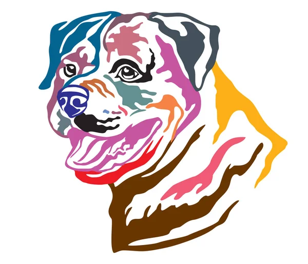 Πολύχρωμο Διακοσμητικά Πορτρέτο Του Σκύλος Ροτβάιλερ Εικονογράφηση Διάνυσμα Διαφορετικά Χρώματα — Διανυσματικό Αρχείο