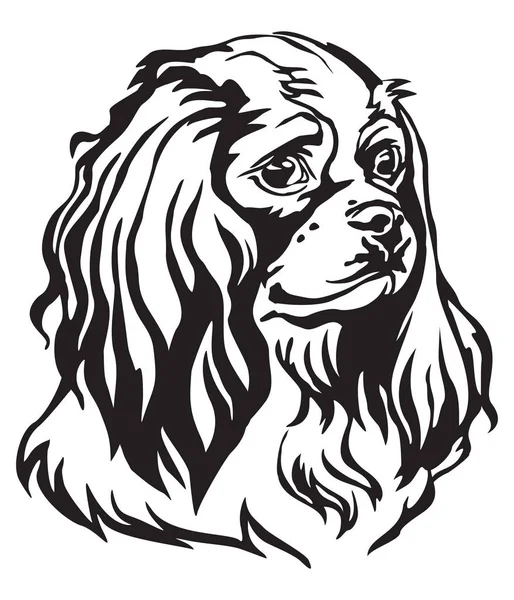 Portrait Décoratif Chien Cavalier Roi Charles Spaniel Illustration Vectorielle Isolée — Image vectorielle