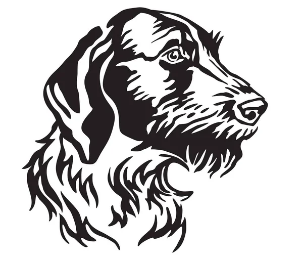 Retrato Decorativo Dog German Wirehaired Pointer Ilustração Vetorial Isolada Cor —  Vetores de Stock