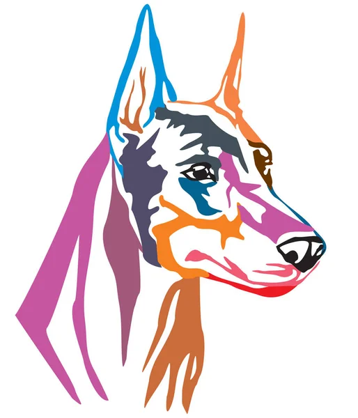 Retrato Decorativo Colorido Dog Dobermann Ilustração Vetorial Cores Diferentes Isoladas — Vetor de Stock