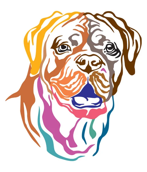 Farbenfrohes Dekoratives Porträt Der Doge Bordeaux Französische Dogge Vektorillustration Verschiedenen — Stockvektor