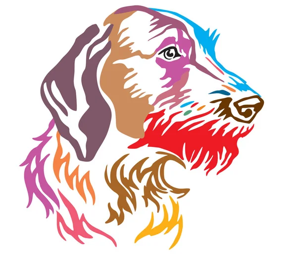 Retrato Decorativo Colorido Dog German Wirehaired Pointer Ilustração Vetorial Cores —  Vetores de Stock