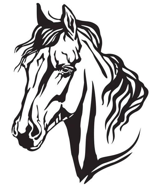 Retrato Decorativo Perfil Cavalo Árabe Vetor Isolado Ilustração Cor Preta — Vetor de Stock