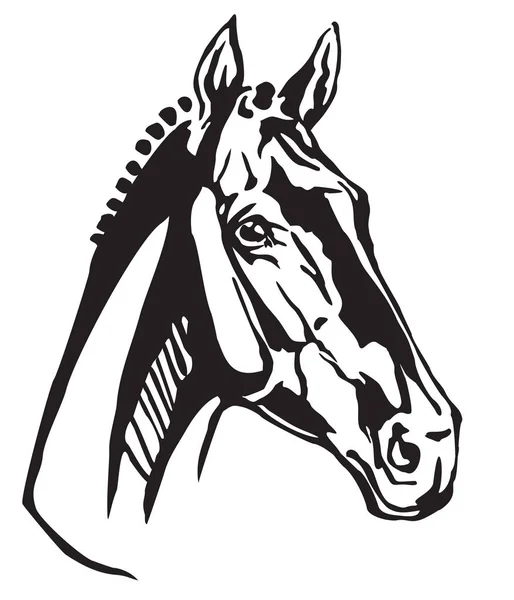 Retrato Decorativo Perfil Cavalo Trakehner Vetor Isolado Ilustração Cor Preta — Vetor de Stock