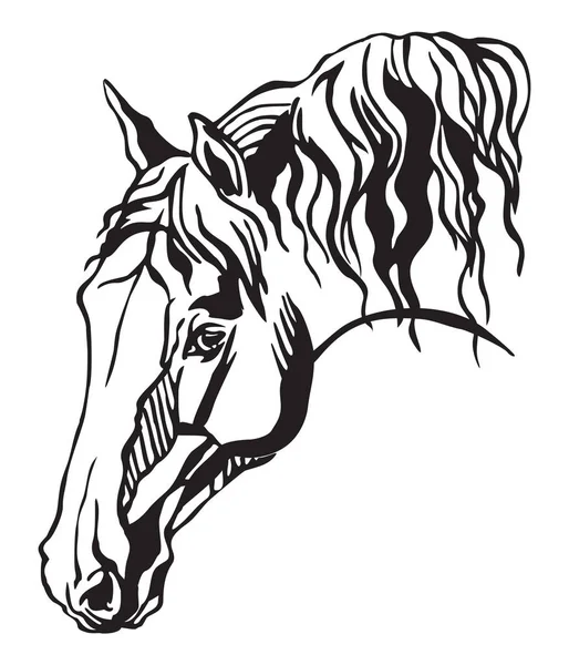 Dekorativa Porträtt Profil Häst Med Lång Mane Vektor Isolerade Illustration — Stock vektor