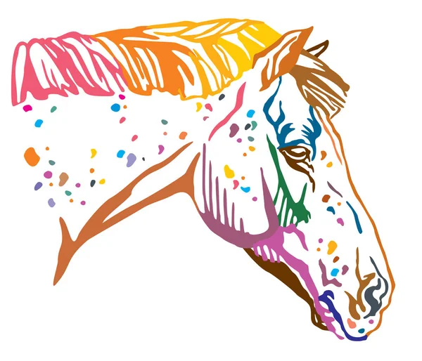 Colorato Ritratto Decorativo Cavallo Appaloosa Macchiato Illustrazione Vettoriale Diversi Colori — Vettoriale Stock