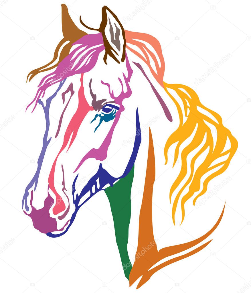 Colorful decorative portrait of Arabian horse, vector illustration in different colors isolated on white background. Image for design and tattoo. 