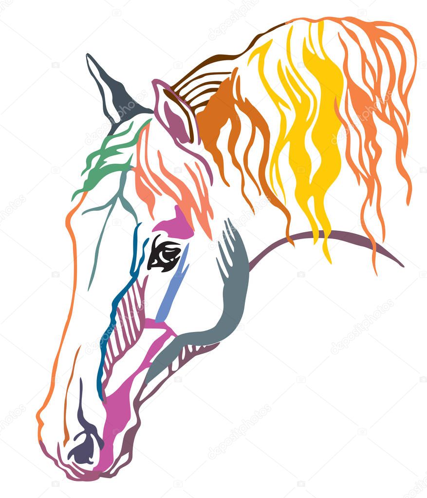 Colorful decorative portrait of  horse with long mane, vector illustration in different colors isolated on white background. Image for design and tattoo. 