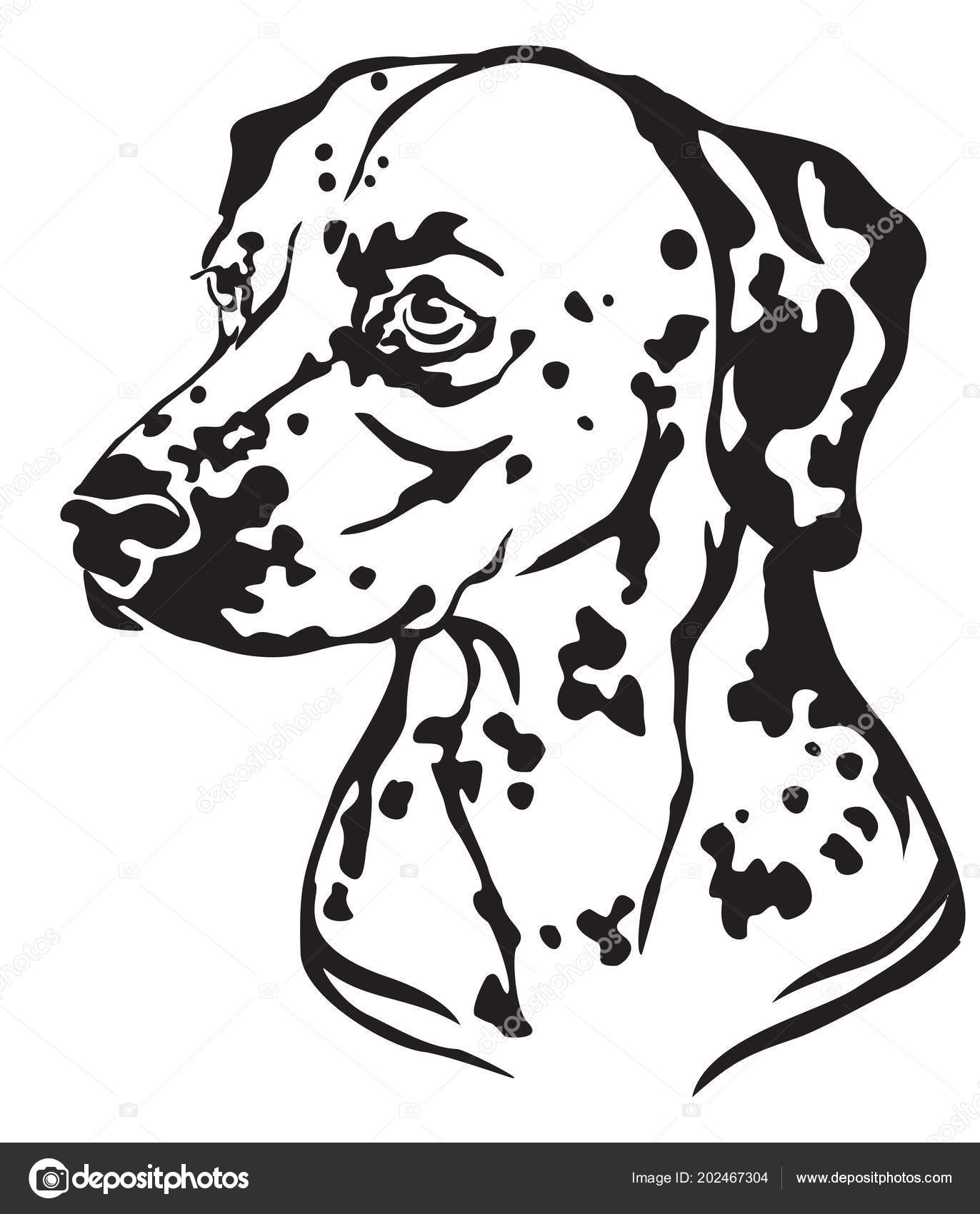 Retrato Decorativo Perfil Dog Dalmatian Vetor Isolado Ilustração