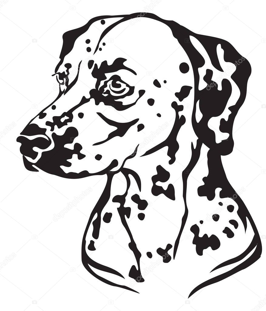 Decorative portrait in profile of Dog Dalmatian, vector isolated illustration in black color on white background. Image for design and tattoo. 