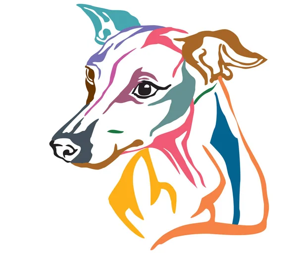 Färgglada Dekorativa Porträtt Profil Hund Italiensk Vinthund Vektorillustration Olika Färger — Stock vektor