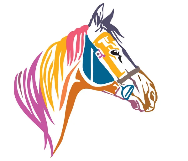 Barevné Dekorativní Portrét Profilu Koně Uzdou Vektorové Ilustrace Různých Barvách — Stockový vektor