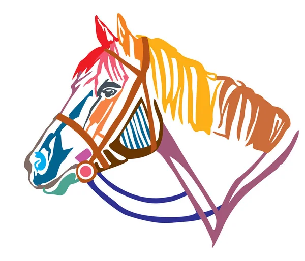 馬の手綱 白い背景で隔離の異なる色のベクトル図とのプロファイルのカラフルな装飾的な肖像画 デザインのタトゥー画像 — ストックベクタ