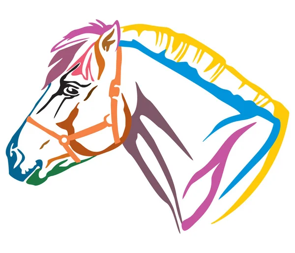 Colorato Ritratto Decorativo Profilo Del Fiordo Norvegese Pony Illustrazione Vettoriale — Vettoriale Stock