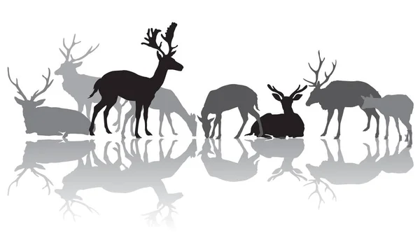 Groupe Silhouettes Isolées Noires Grises Cerfs Mâle Une Femelle Cerf — Image vectorielle