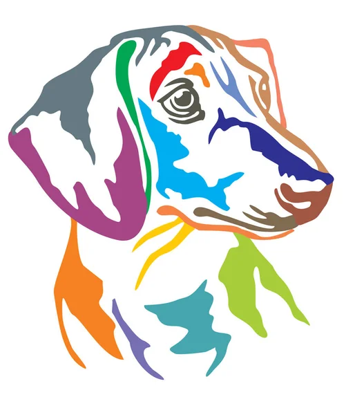 Portrait Décoratif Coloré Profil Chien Dachshund Illustration Vectorielle Différentes Couleurs — Image vectorielle