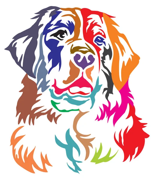 Colorful Decorative Portrait Bernese Mountain Dog Vector Illustration Different Colors — Stock Vector