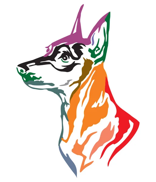 犬ミニチュア ピンシャー 白い背景で隔離の異なる色でベクター画像のプロファイルにカラフルな装飾的な肖像画 — ストックベクタ