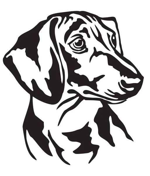 Decorative Portrait Dog Dachshund Vector Isolated Illustration Black Color White — Stock Vector