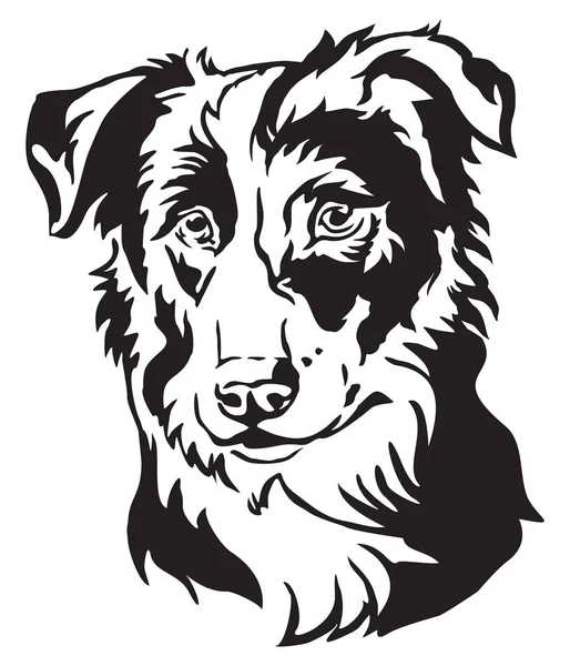 Dekorativa Porträtt Hund Border Collie Isolerade Vektorillustration Svart Färg Vit — Stock vektor