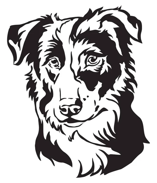 Ritratto Decorativo Del Cane Border Collie Illustrazione Vettoriale Isolata Colore — Vettoriale Stock