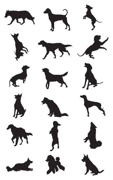 Vector Set Monochrome Different Breeds Dogs Silhouettes Motion Sitting Standing — Stock Vector