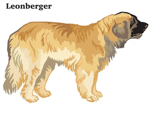 Portrét Postavení Profilu Leonberger Psa Vektorové Barevné Ilustrace Izolované Bílém — Stockový vektor