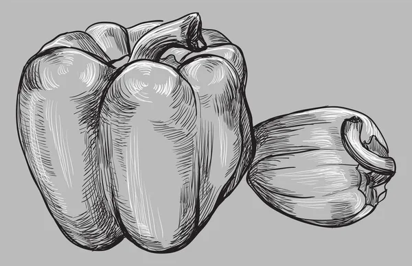 手拉的蔬菜胡椒 灰色背景下的矢量单色插图 — 图库矢量图片